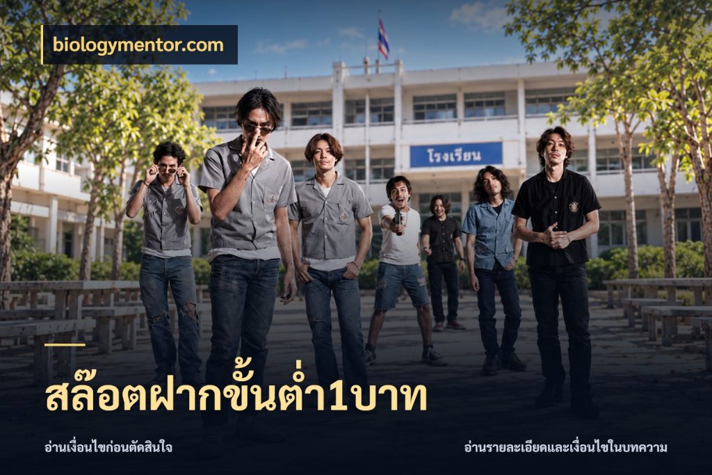 สล๊อตฝากขั้นต่ำ1บาท มุมสนุกของคนที่กำหนดขอบเขตตัวเอง สไตล์ biologymentor.com