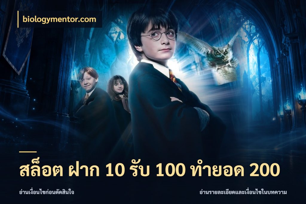 สล็อต ฝาก 10 รับ 100 ทำยอด 200 จับประเด็นยอดรับก่อนเลือกความสนุก กับ biologymentor.com