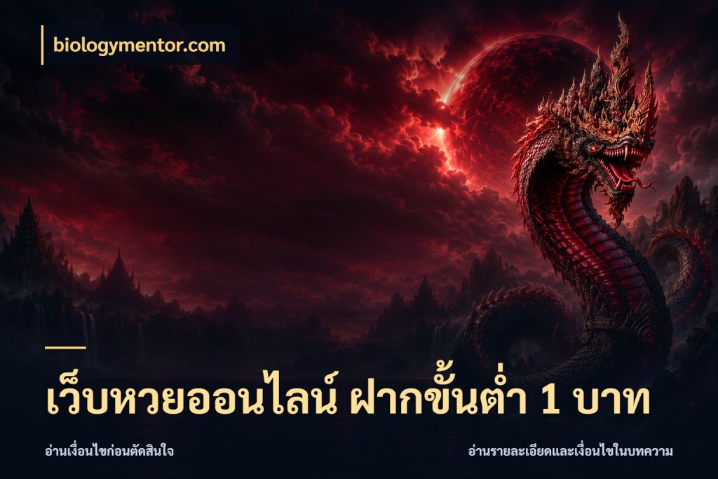 เว็บหวยออนไลน์ ฝากขั้นต่ำ 1 บาท มุมเงินตั้งต้นที่คนสนใจหวยอยากรู้ ในมุม biologymentor.com