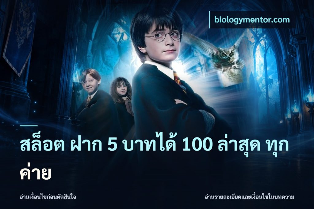 สล็อต ฝาก 5 บาทได้ 100 ล่าสุด ทุกค่าย