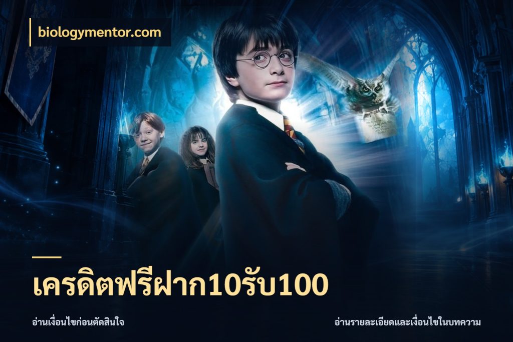 เครดิตฟรีฝาก10รับ100 biologymentor.com โปรกับเกมที่ชอบเลือกให้ตรงสไตล์