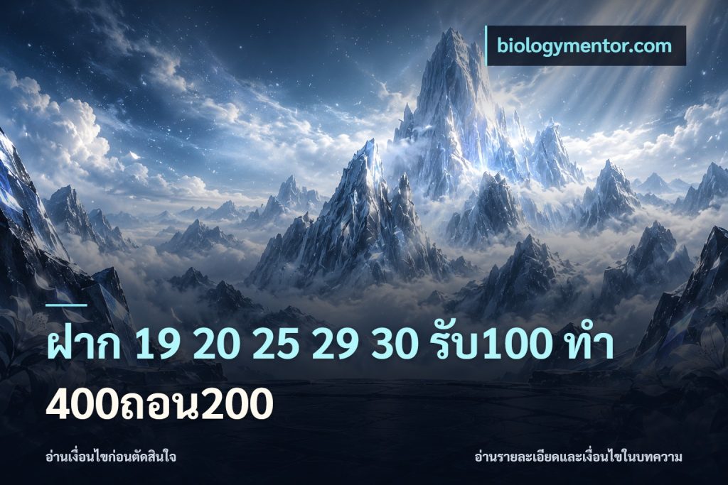 ฝาก 19 20 25 29 30 รับ100 ทำ 400ถอน200