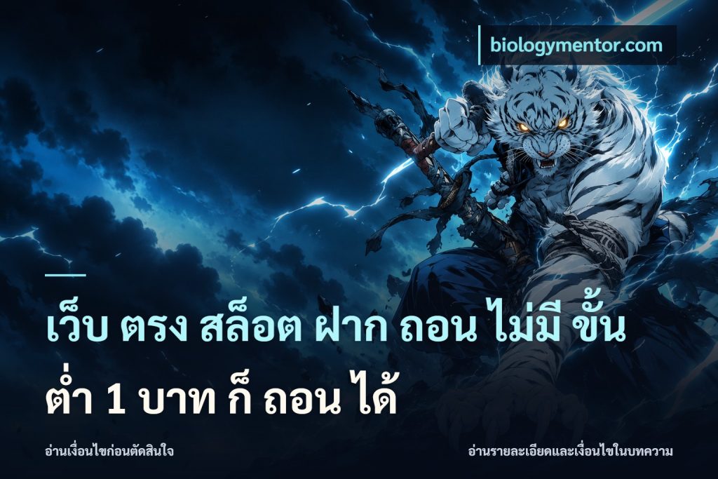 เว็บ ตรง สล็อต ฝาก ถอน ไม่มี ขั้น ต่ํา 1 บาท ก็ ถอน ได้