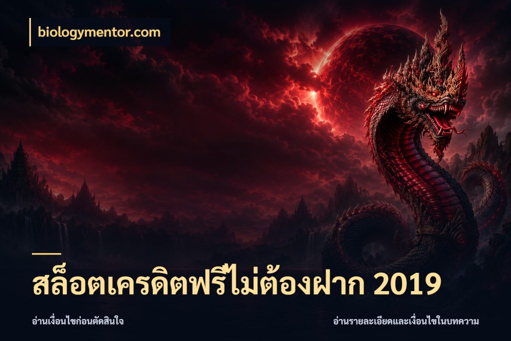 สล็อตเครดิตฟรีไม่ต้องฝาก 2019 เปิดประเด็นเครดิตฟรีสำหรับคนชอบลุ้น สไตล์ biologymentor.com
