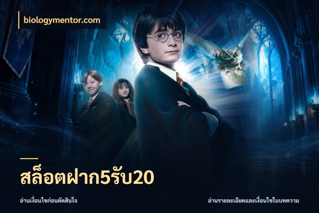 สล็อตฝาก5รับ20 สายโบนัสเลือกจังหวะสนุกได้อย่างไร กับ biologymentor.com
