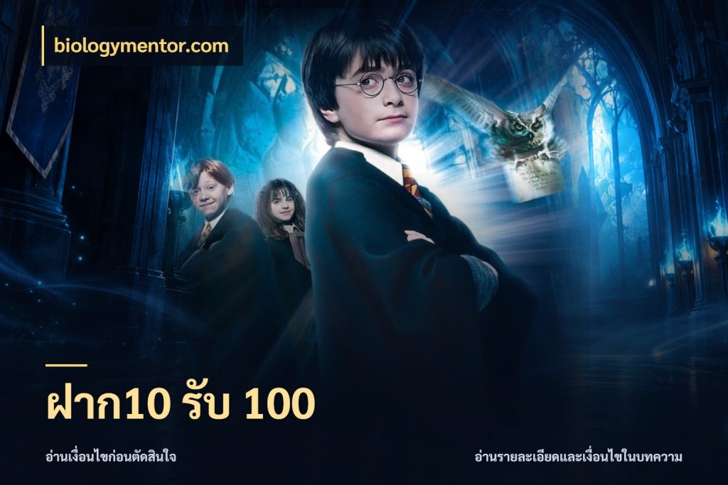 ฝาก10 รับ 100 จุดเด่นของเครดิตที่คนชอบเกมอยากรู้ กับ biologymentor.com