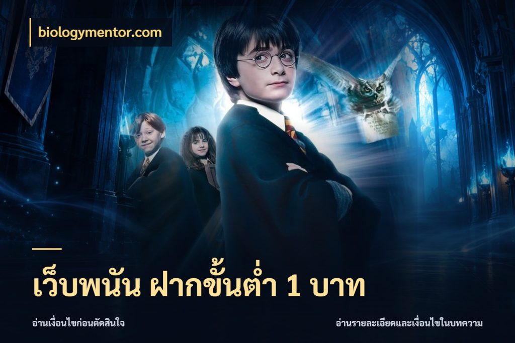 เว็บพนัน ฝากขั้นต่ำ 1 บาท จำนวนเริ่มต้นกับสไตล์เกมที่ชอบ ในมุม biologymentor.com