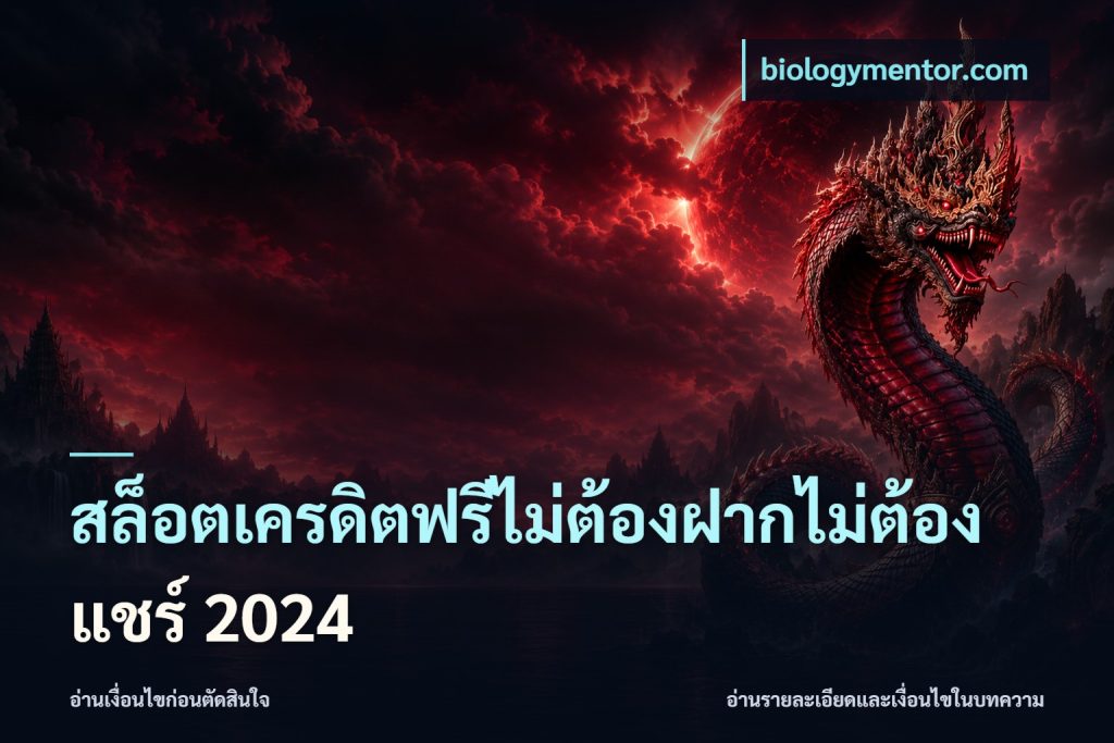 สล็อตเครดิตฟรีไม่ต้องฝากไม่ต้องแชร์ 2024