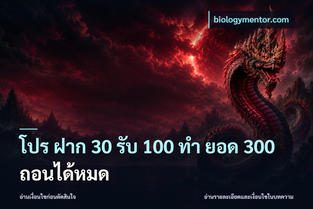 โปร ฝาก 30 รับ 100 ทํา ยอด 300 ถอนได้หมด