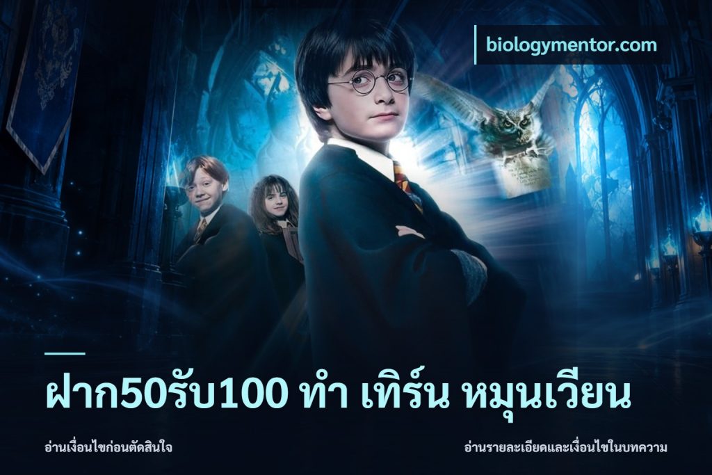 ฝาก50รับ100 ทํา เทิร์น หมุนเวียน