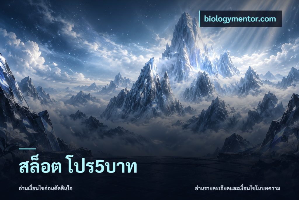 สล็อต โปร5บาท